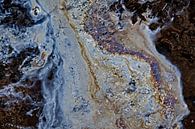 Colour palette in Drents seepage water by Theo Felten thumbnail