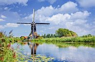 Szene mit einem Kanal mit üppiger Vegetation und alter Windmühle von Tony Vingerhoets Miniaturansicht
