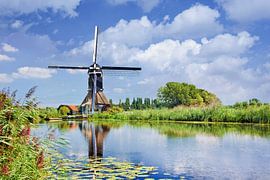Scène met een kanaal met weelderige vegetatie en oude windmolen van Tony Vingerhoets