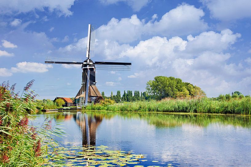 Szene mit einem Kanal mit üppiger Vegetation und alter Windmühle von Tony Vingerhoets