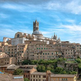 De Duomo van Siena Italie van Jelmer Laernoes