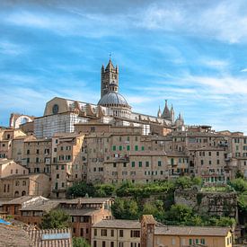 The Duomo of Siena Italy by Jelmer Laernoes