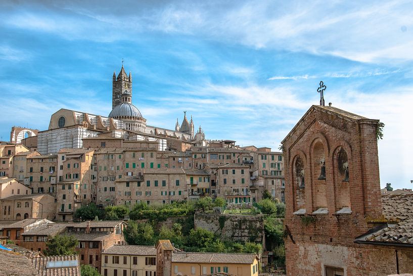 Der Dom von Siena Italien von Jelmer Laernoes