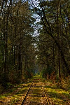 Historische Eisenbahnlinie von Nadia Keesman-Founassi