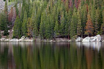 Bear lake Colorado van gea strucks