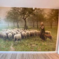 Photo de nos clients: Bergère avec troupeau de moutons, Anton Mauve