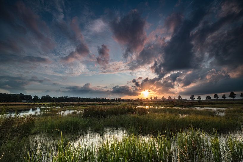 The fires by Hans Wolters