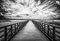De pier