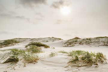 Sandsturm von Ursula Reins