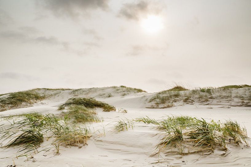 Zandstorm van Ursula Reins