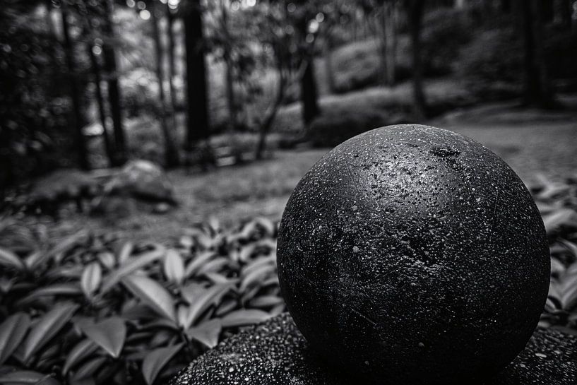 Orbe noir dans un paysage forestier flou par Imperial Art House