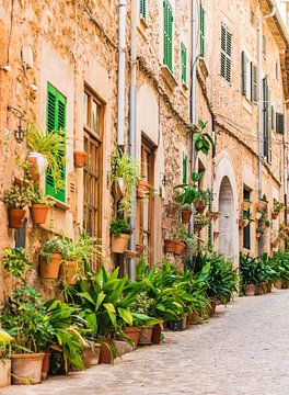 Mooie straat in het mediterraanse dorp Valldemossa van Alex Winter
