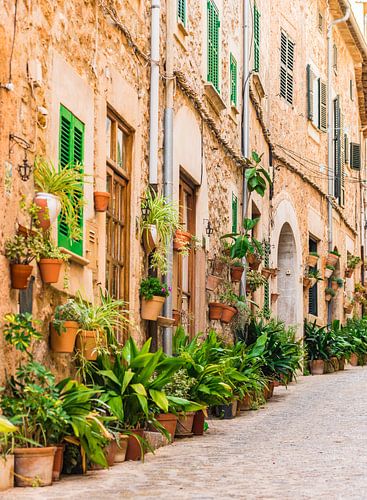 Mooie straat in het mediterraanse dorp Valldemossa