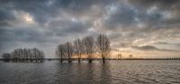 Hoogwater bij Prins Willem Alexanderbrug in Echteld van Moetwil en van Dijk - Fotografie thumbnail