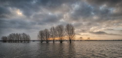 Hoogwater bij Prins Willem Alexanderbrug in Echteld