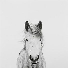 Horse in black and white by Poster Art Shop