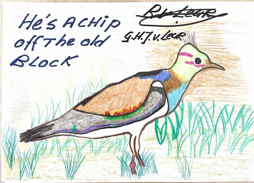 Pheasant by Robert van Leur