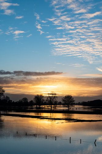 Les hautes eaux de la Meuse