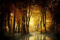 A Light in the Forest van Kees van Dongen thumbnail