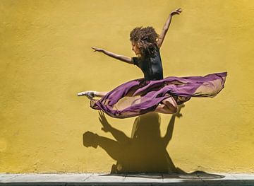 Brenda springen van Joan Gil Raga