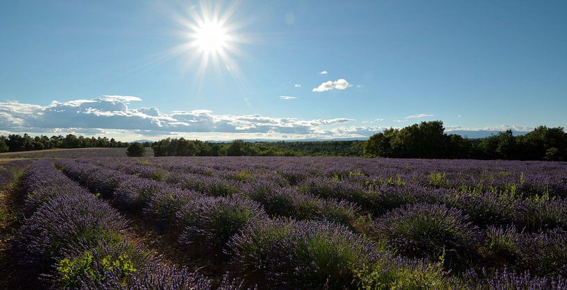 Frankrijk by Johan Vet