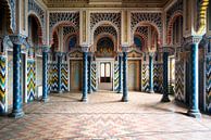 Verlaten Kasteel Sammezzano. van Roman Robroek thumbnail