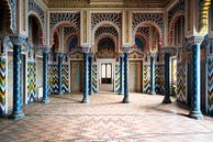 Château abandonné de Sammezzano. par Roman Robroek - Photos de bâtiments abandonnés Aperçu