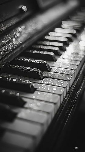 Muziekinstrument in zwart-wit