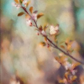Butterfly on a spring branch in light mist by Whale & Sons