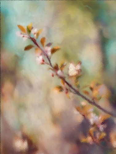 Schmetterling auf einem Frühlingszweig im leichten Nebel von Whale & Sons