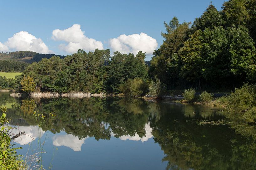 Diemelsee met bomen in het water, Duitsland von Jaap Mulder