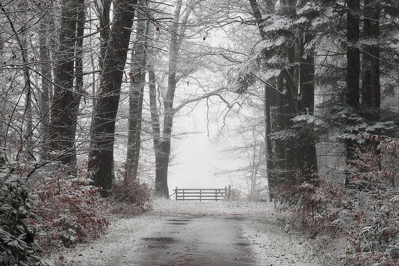 Ende der Straße von Paul Muntel