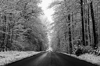 Endlose Straße im Schnee von Jeroen Berendse Miniaturansicht