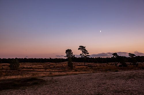 Moon Shine 2 - Loonse en Drunense Duinen