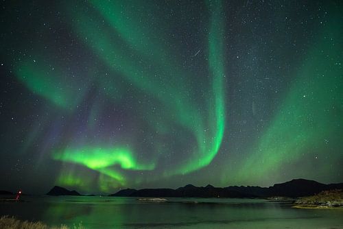 Northern lights over Sommarøy , Norway