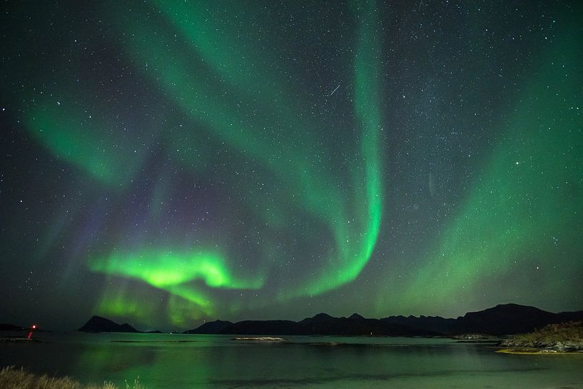 Northern lights over Sommarøy , Norway von Marc Hollenberg