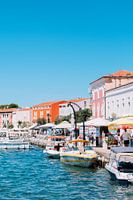 Harbour with orange houses