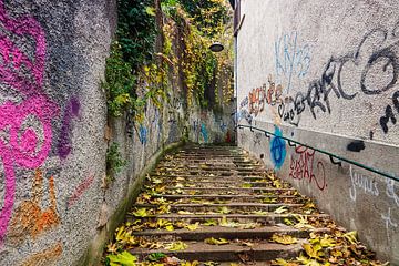 Weg mit Graffiti in Lyon von Anouschka Hendriks
