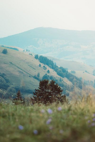 Berglandschap in het Zwarte Woud, Duitsland van Veri Gutte