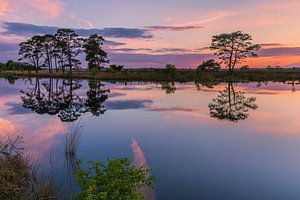 Sonnenuntergang in Holtveen, im Nationalpark Dwingelderveld