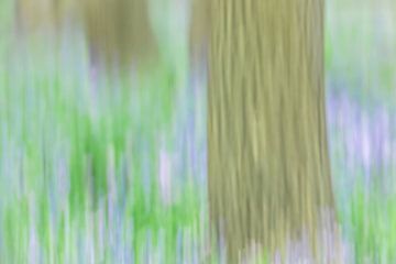 Impressionistisch lente bos van Gonnie van de Schans
