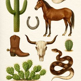 Woestijncollectie van Gal Design