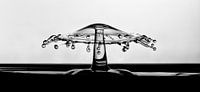 Drops
