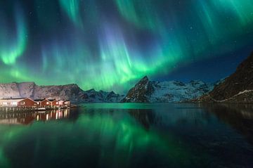 Northern lights in Hamnoy (Lofoten). by Sven Broeckx