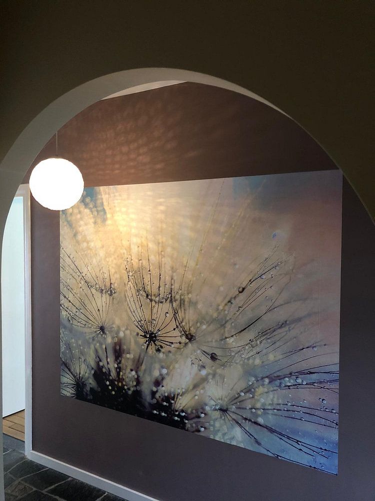 Paardenbloem mystiek - Mystical Dandelion  by Julia Delgado 
