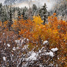 Mount Sneffels in den Colorado Rocky Mountains Herbstschneesturm von Daniel Forster