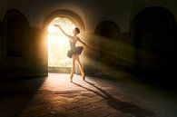 Magical light dance van Arjen Roos thumbnail