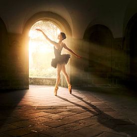 Magical light dance by Arjen Roos