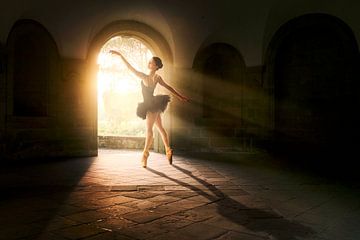Magical light dance by Arjen Roos