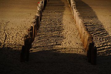 Paalhoofden met hun schaduw op het strand geprojecteerd van Jan Nuboer